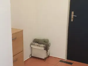 Pronájem bytu 2+kk, Novosedlice, Míru, 40 m2