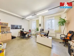 Prodej obchodního prostoru, Trutnov - Horní Staré Město, 1667 m2