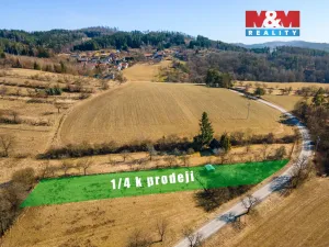 Prodej pole, Biskupice, 1921 m2