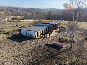 Prodej pozemku pro bydlení, Albrechtice, Mikulova, 17842 m2