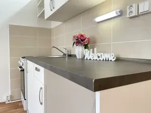 Pronájem bytu 1+1, Litvínov, Rooseveltova, 37 m2