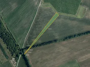 Prodej pole, Nový Poddvorov, 6188 m2