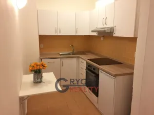 Pronájem bytu 1+1, Praha - Vinohrady, Římská, 42 m2