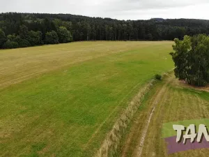 Prodej louky, Hlavice, 24694 m2