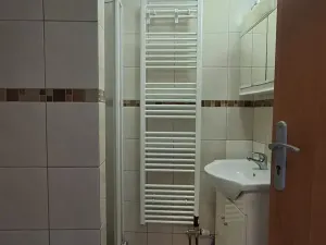 Pronájem bytu 1+1, Olomouc, Mlčochova, 55 m2