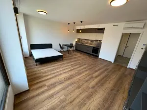 Pronájem bytu 1+kk, Brno, Slovákova, 45 m2