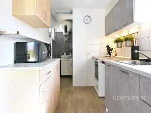 Prodej chalupy, Havraň, 35 m2