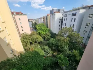 Pronájem bytu 1+1, Brno, bratří Čapků, 55 m2