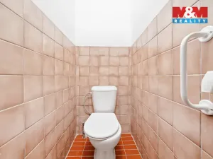 Prodej rodinného domu, Hřibiny-Ledská - Hřibiny, 285 m2