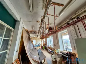 Prodej výrobních prostor, Kasejovice, 1980 m2