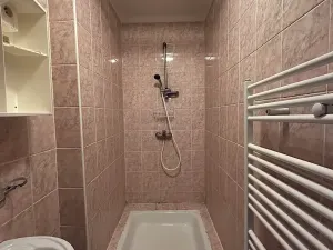 Pronájem bytu 1+1, Roudnice nad Labem, Riegrova, 37 m2