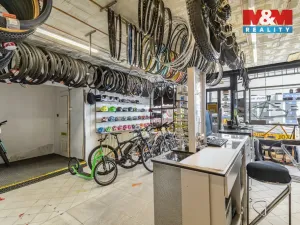 Prodej rodinného domu, Frýdek-Místek - Frýdek, Radniční, 300 m2