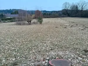 Prodej pozemku pro bydlení, Janovice nad Úhlavou, 3415 m2