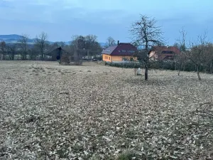 Prodej pozemku pro bydlení, Janovice nad Úhlavou, 3415 m2