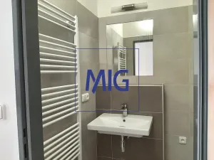 Pronájem bytu 1+kk, Rosice, Sportovní, 41 m2