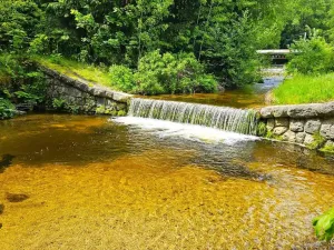 Prodej pozemku, Desná - Desná I, Údolní, 1668 m2