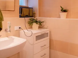 Prodej rodinného domu, Domašov u Šternberka, 400 m2