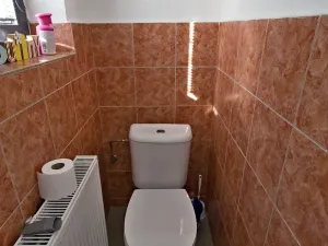 Prodej rodinného domu, Chotěšov, Hřbitovní, 132 m2