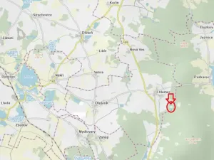 Prodej lesa, Olešník, 5100 m2