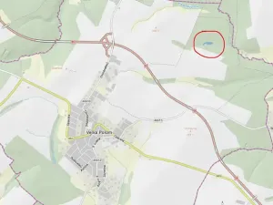 Prodej lesa, Velká Polom, 3342 m2