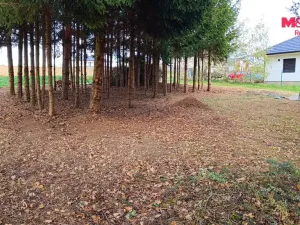 Prodej pozemku pro bydlení, Senožaty, 653 m2
