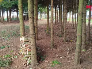 Prodej pozemku pro bydlení, Senožaty, 653 m2