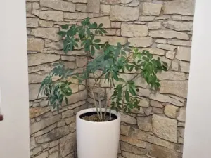 Prodej rodinného domu, Jeneč, A. Jiráska, 75 m2