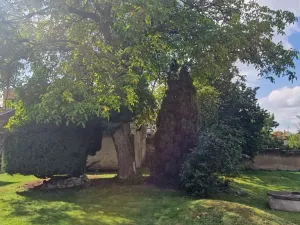 Prodej rodinného domu, Jeneč, A. Jiráska, 75 m2