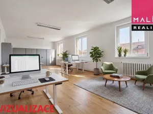 Prodej obchodního prostoru, Ostrov, Hlavní třída, 993 m2