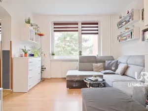 Prodej bytu 2+1, Boskovice, Bílkova, 58 m2