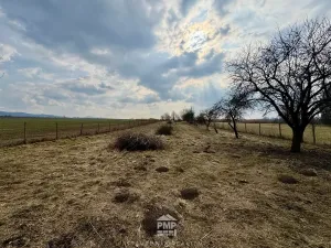 Prodej louky, Cetkovice, 3195 m2