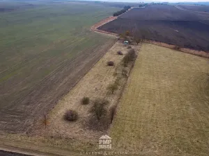 Prodej louky, Cetkovice, 3195 m2