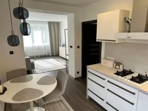 Pronájem bytu 2+1, Ústí nad Labem, Ivana Olbrachta, 57 m2