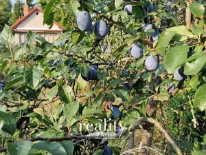 Prodej zahrady, Znojmo, Pražská zahr. C, 1985 m2