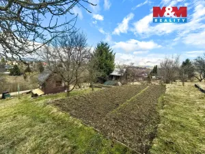 Prodej chaty, Jablonné nad Orlicí, U Vrby, 25 m2