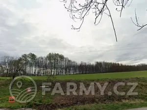 Prodej pole, Věžky, 63026 m2