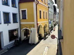 Pronájem bytu 1+kk, České Budějovice, Kněžská, 27 m2