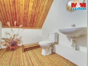 Prodej rodinného domu, Konstantinovy Lázně, Východní, 193 m2