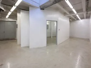 Pronájem obchodního prostoru, Praha - Nusle, Mojmírova, 165 m2