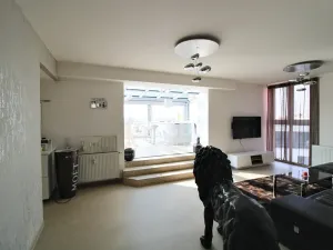 Pronájem bytu 3+kk, Plzeň, Goldscheiderova, 250 m2