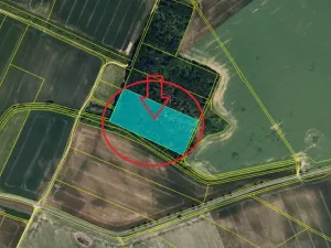 Prodej podílu lesa, Štítary, 3942 m2