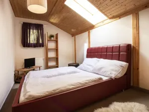 Prodej - jiné, Josefův Důl, 220 m2