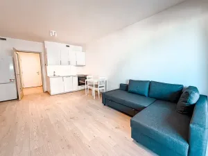 Pronájem bytu 1+kk, Praha - Hloubětín, Poděbradská, 33 m2