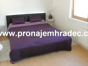 Pronájem bytu 2+kk, Hradec Králové, Kollárova, 55 m2