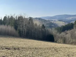 Prodej lesa, Plavy, 32050 m2