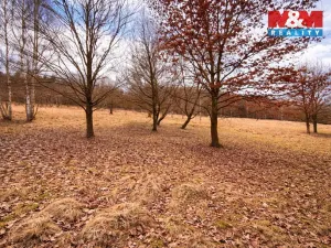 Prodej komerčního pozemku, Křečovice - Vlkonice, 68525 m2