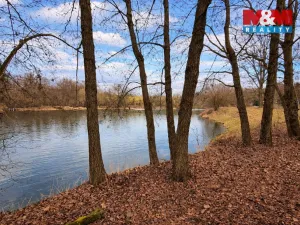 Prodej louky, Křečovice - Vlkonice, 68525 m2