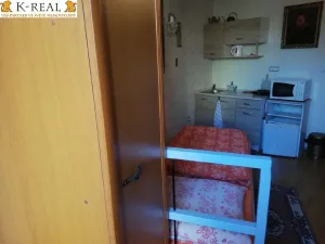 Pronájem bytu 1+kk, Brno - Bosonohy, 22 m2