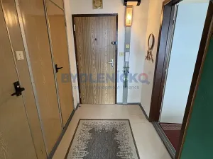 Prodej bytu 1+1, České Budějovice, Prachatická, 31 m2