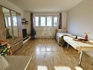Prodej bytu 1+kk, České Budějovice, Na Zlaté stoce, 31 m2
